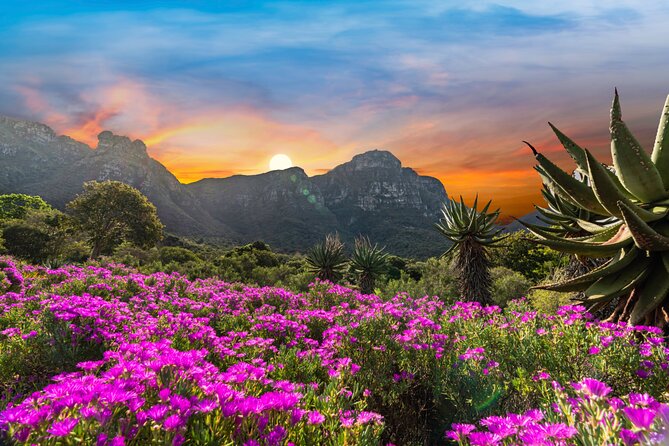 Jardines Botánicos de Kirstenbosch.jpg